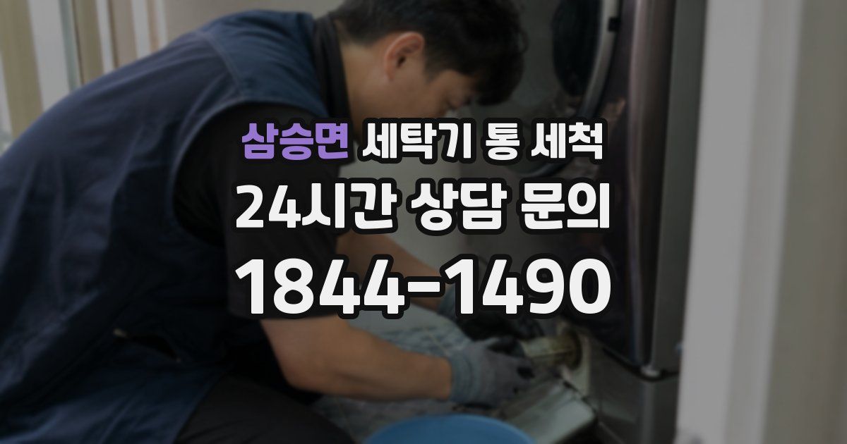 삼승면 세탁기 통 세척
