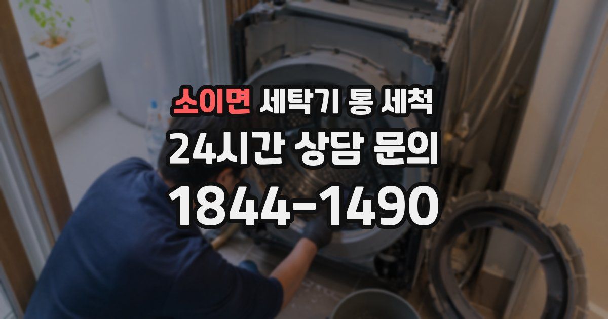 소이면 세탁기 통 세척