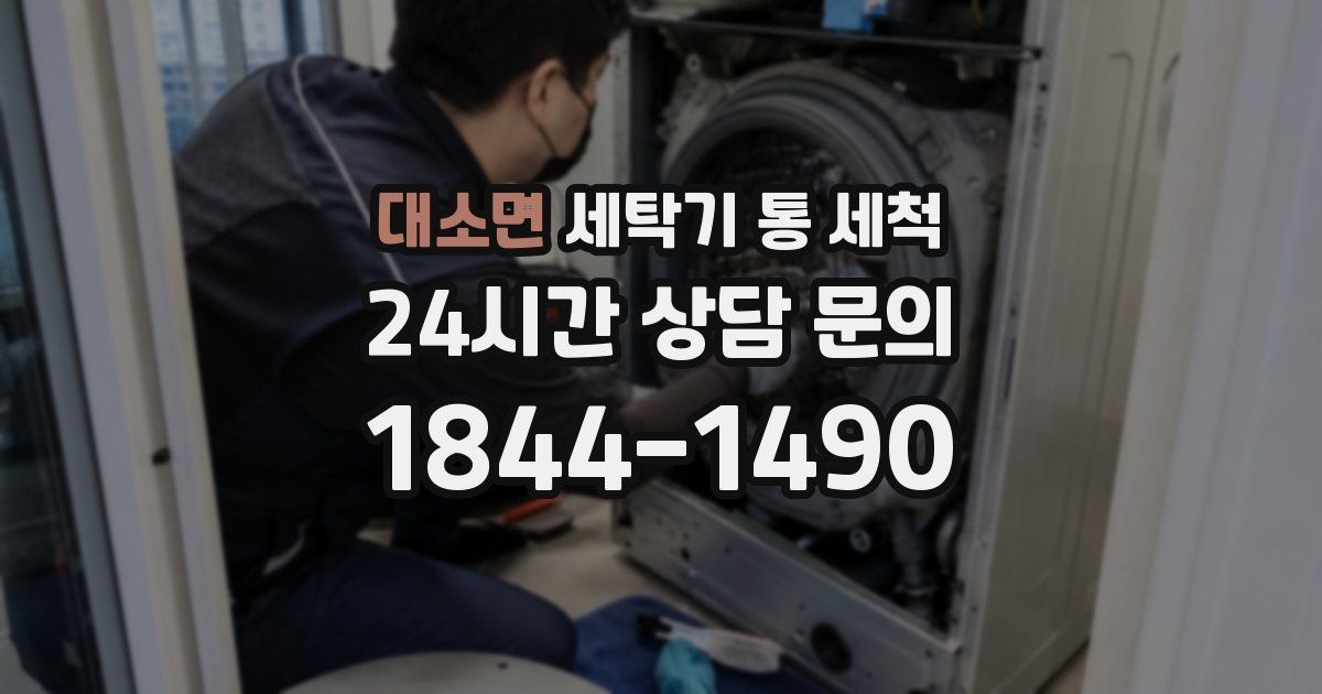 대소면 세탁기 통 세척