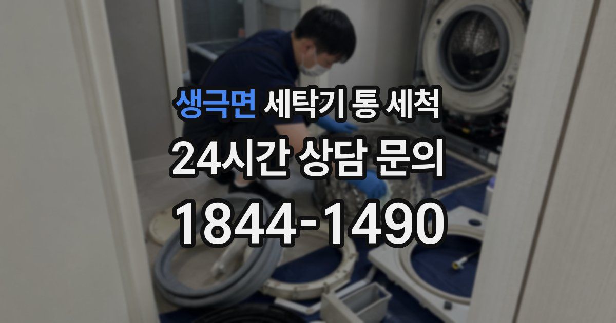 생극면 세탁기 통 세척