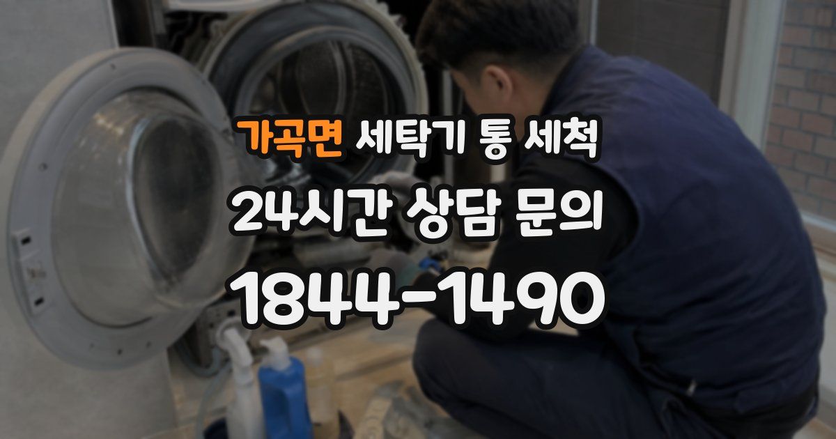 가곡면 세탁기 통 세척