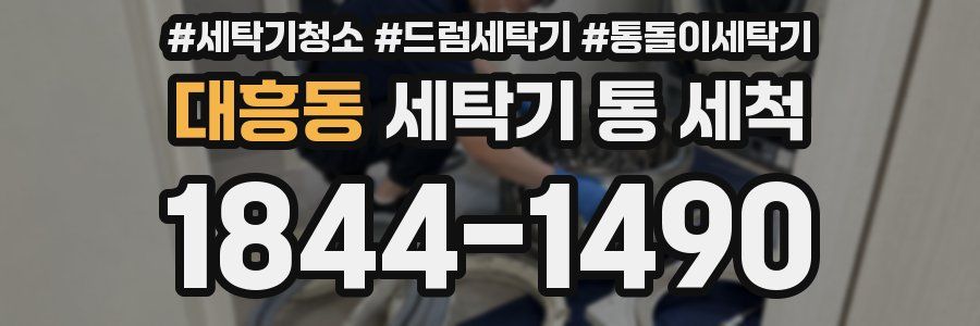 대흥동 세탁기 통 세척
