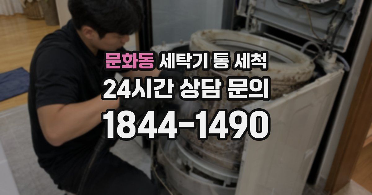 문화동 세탁기 통 세척
