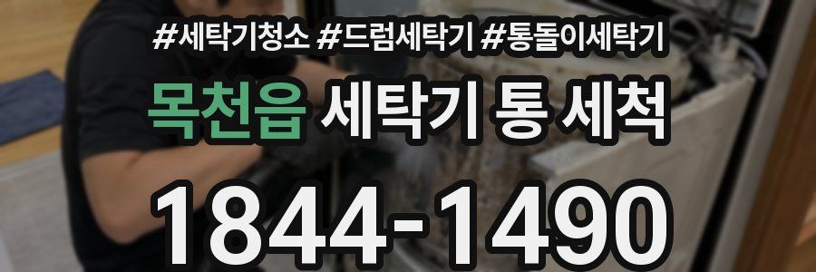 목천읍 세탁기 통 세척