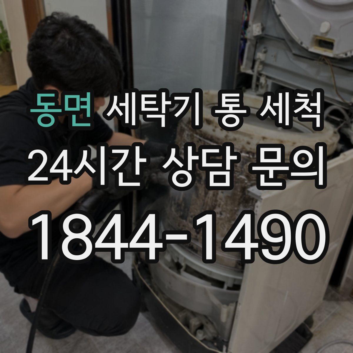 동면 세탁기 통 세척