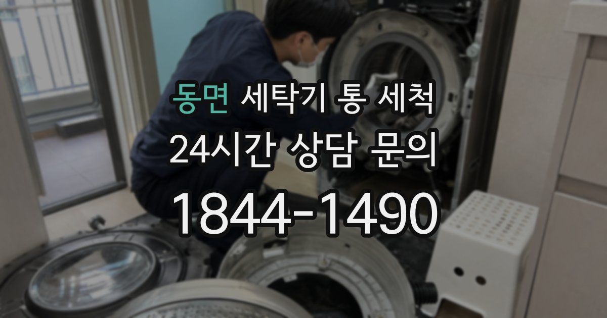 동면 세탁기 통 세척
