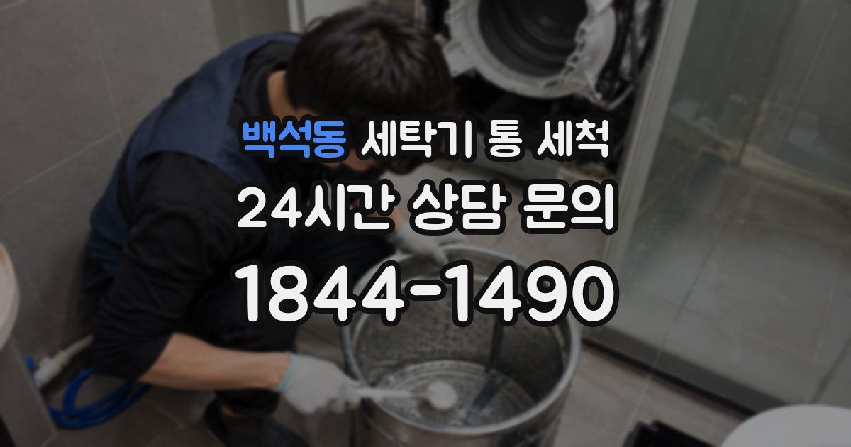 백석동 세탁기 통 세척