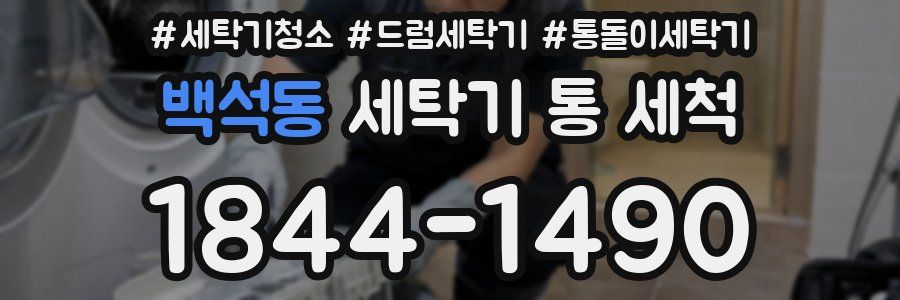 백석동 세탁기 통 세척