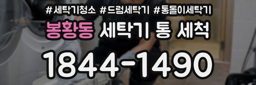 봉황동 세탁기 통 세척