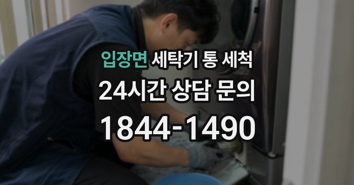 입장면 세탁기 통 세척