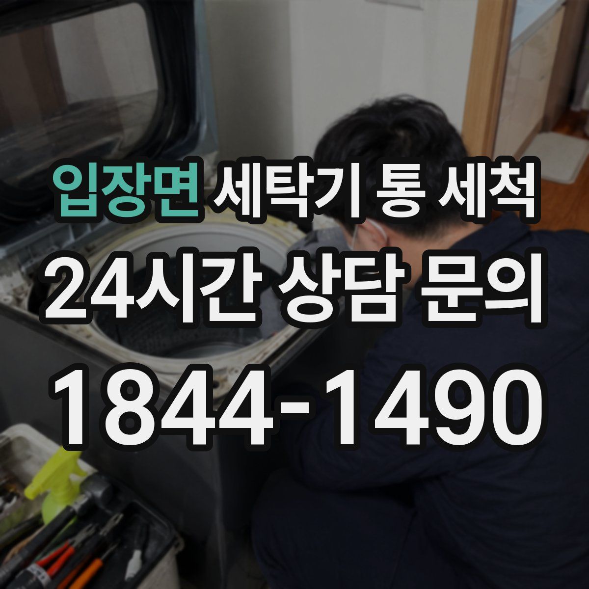 입장면 세탁기 통 세척