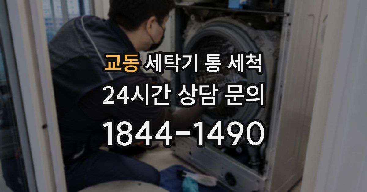 교동 세탁기 통 세척