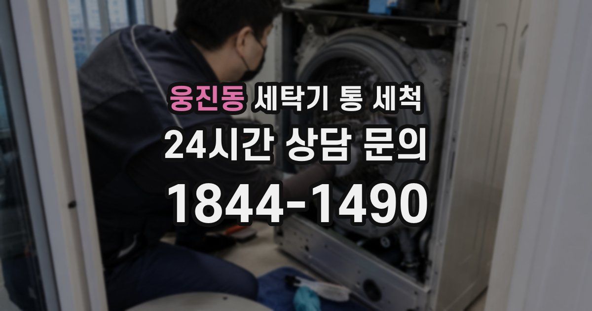 웅진동 세탁기 통 세척