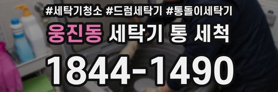 웅진동 세탁기 통 세척