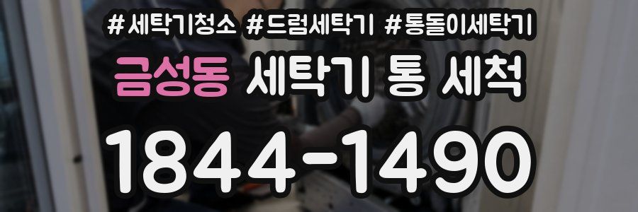 금성동 세탁기 통 세척