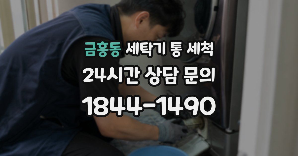 금흥동 세탁기 통 세척