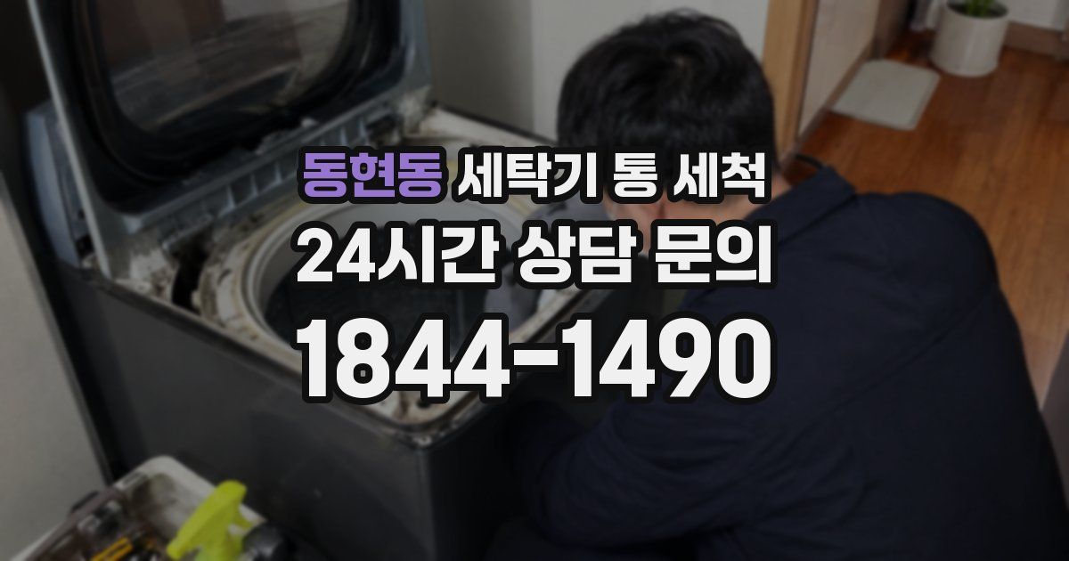 동현동 세탁기 통 세척