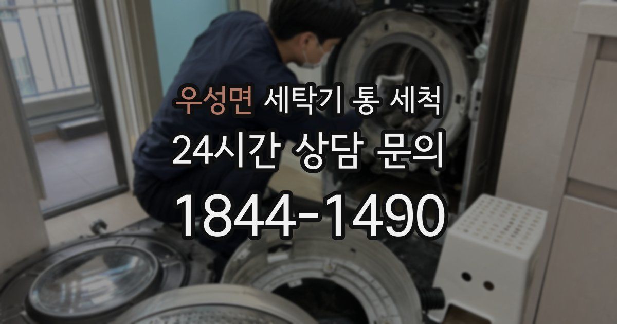 우성면 세탁기 통 세척