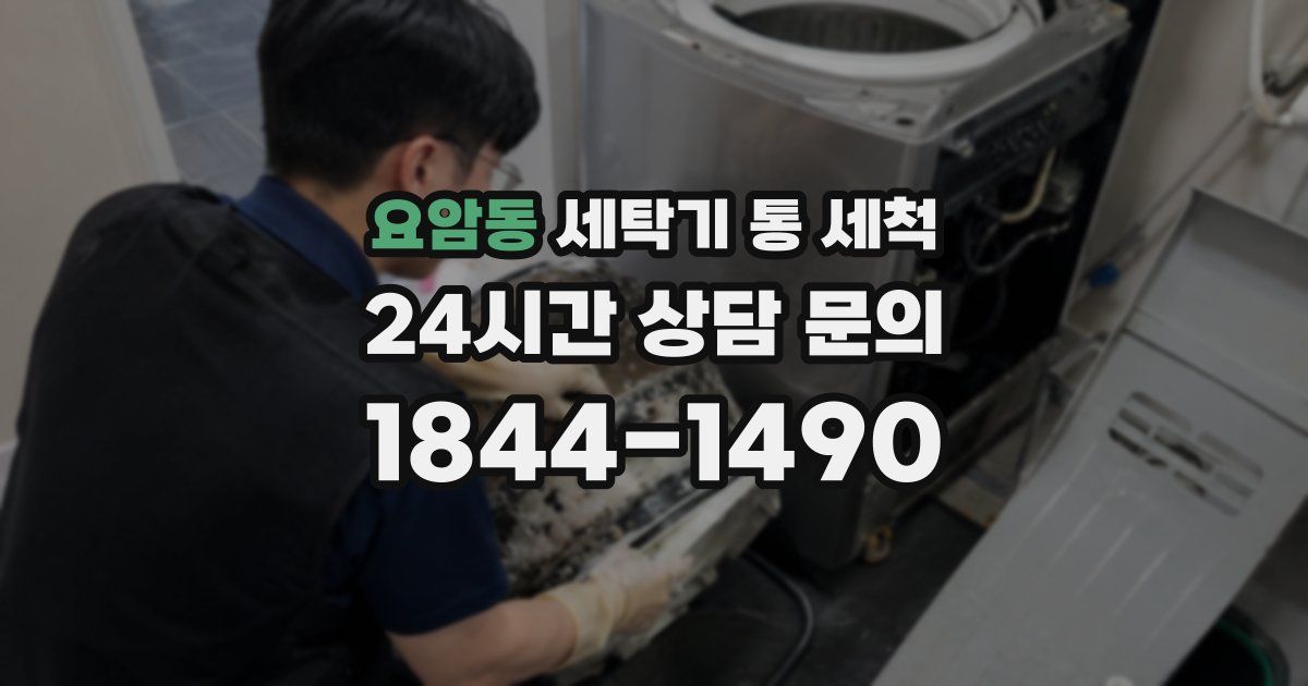 요암동 세탁기 통 세척
