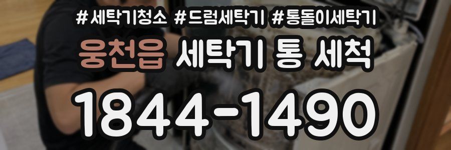 웅천읍 세탁기 통 세척