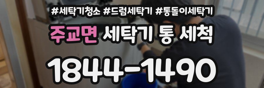 주교면 세탁기 통 세척