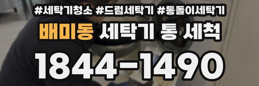 배미동 세탁기 통 세척