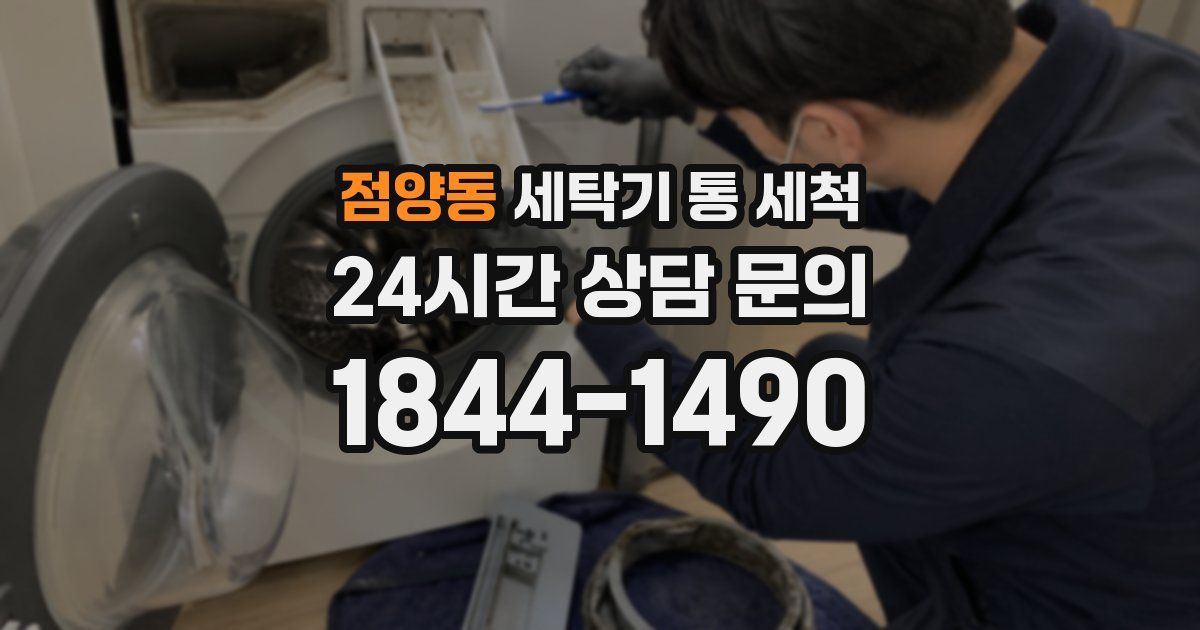 점양동 세탁기 통 세척