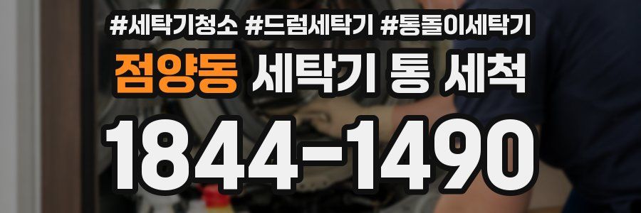 점양동 세탁기 통 세척