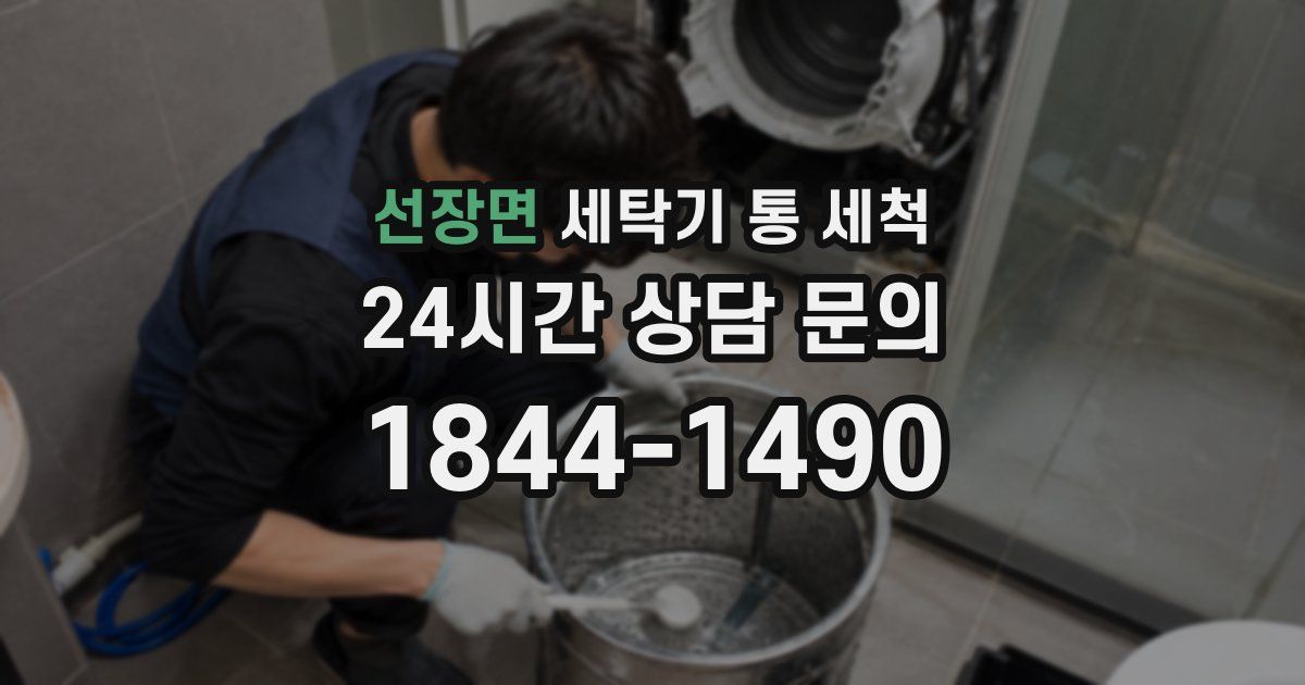 선장면 세탁기 통 세척