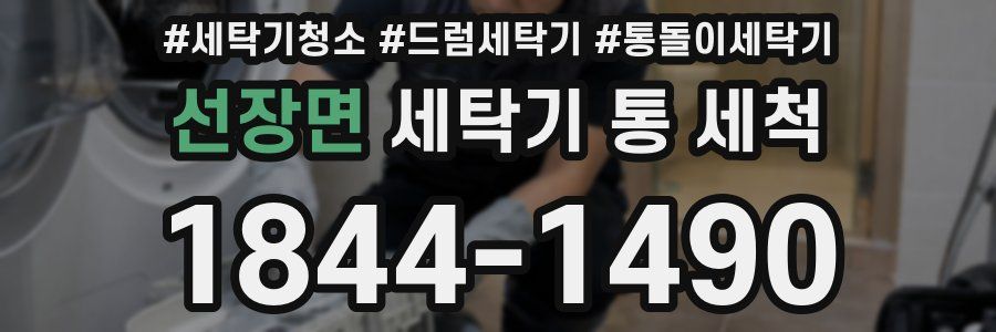 선장면 세탁기 통 세척
