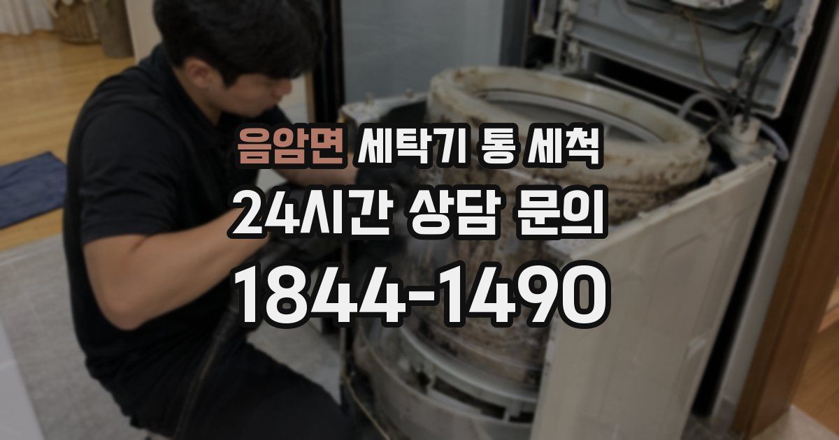 음암면 세탁기 통 세척