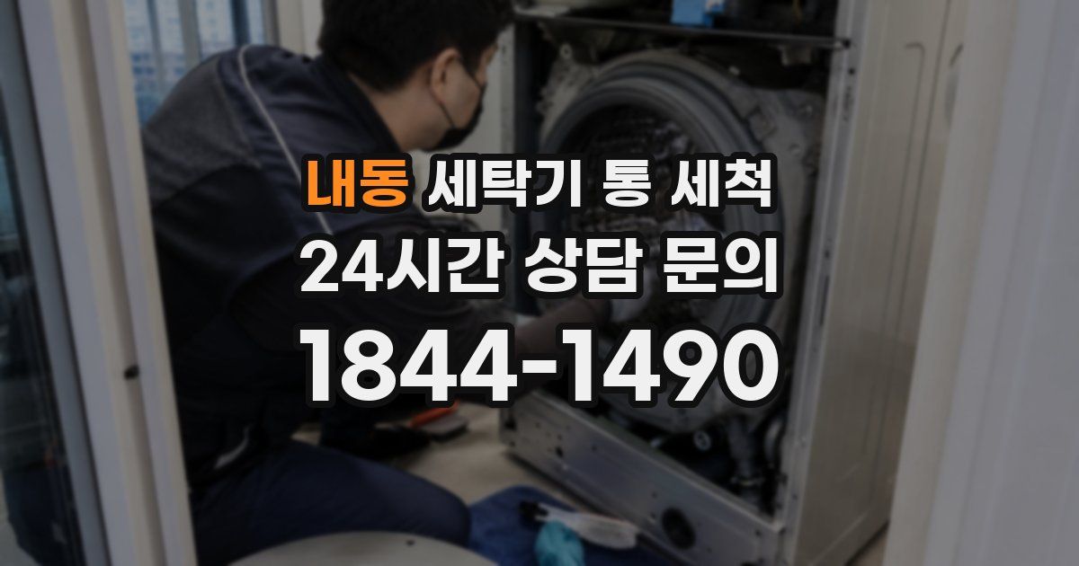 내동 세탁기 통 세척