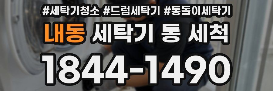 내동 세탁기 통 세척