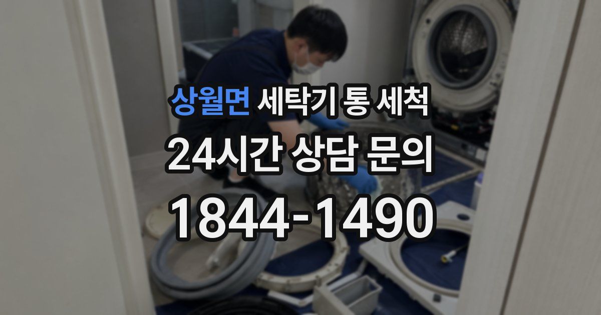 상월면 세탁기 통 세척