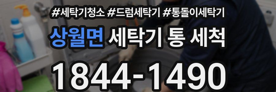상월면 세탁기 통 세척