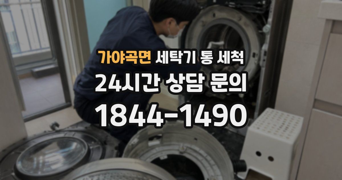 가야곡면 세탁기 통 세척
