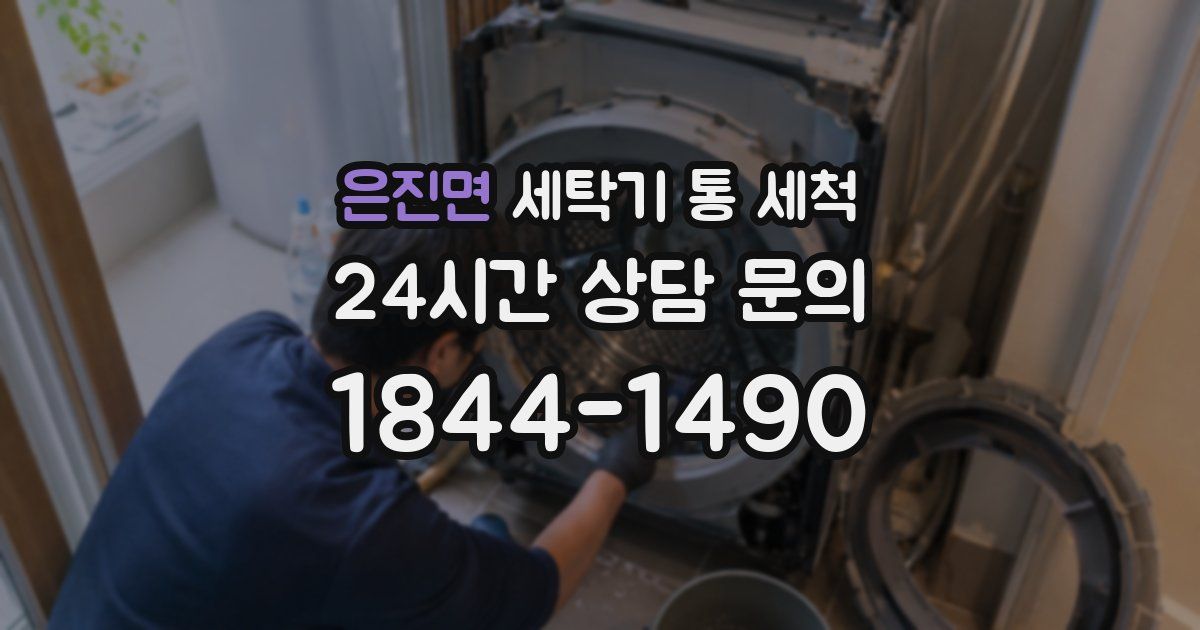 은진면 세탁기 통 세척