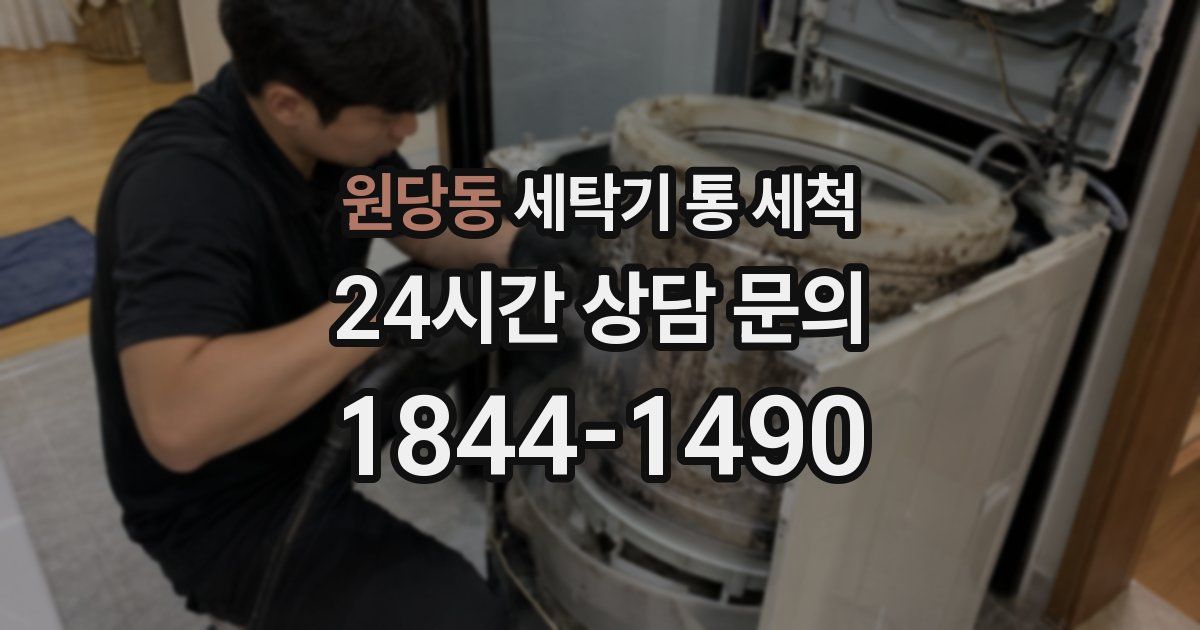 원당동 세탁기 통 세척