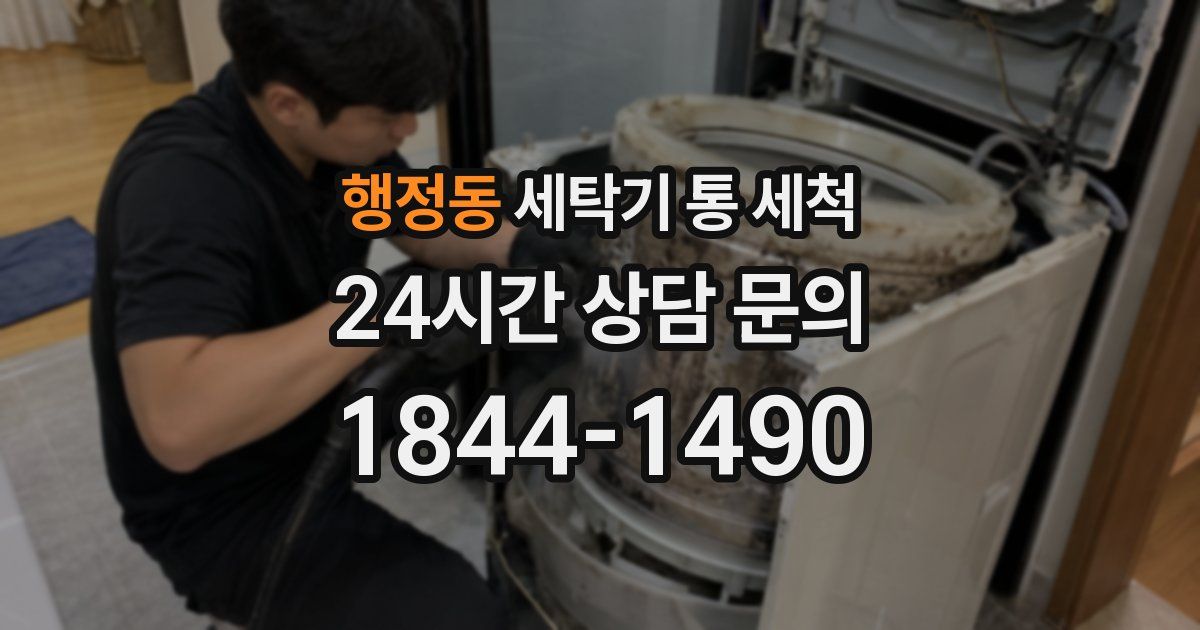 행정동 세탁기 통 세척