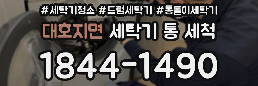 대호지면 세탁기 통 세척