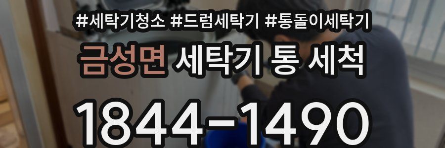 금성면 세탁기 통 세척