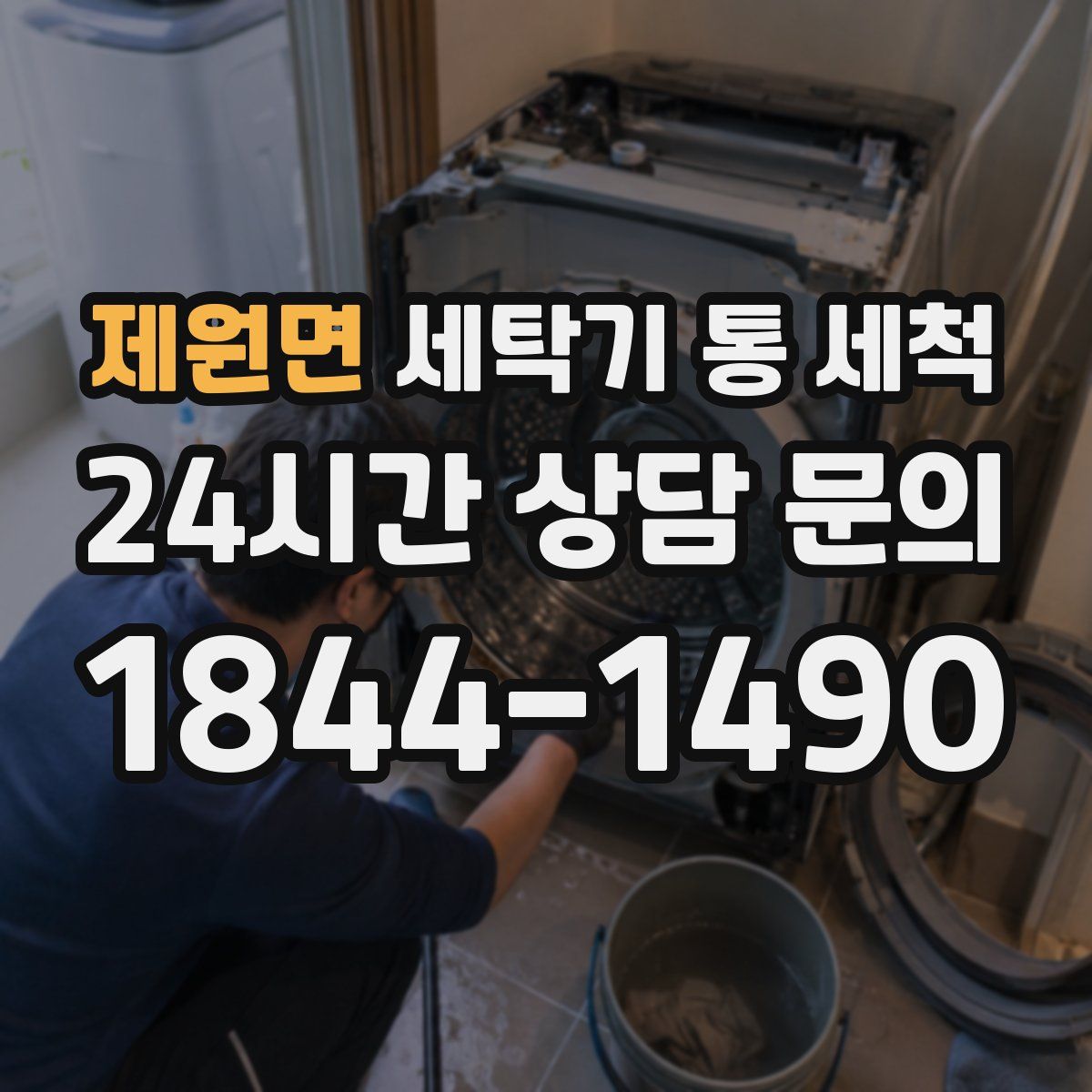 제원면 세탁기 통 세척