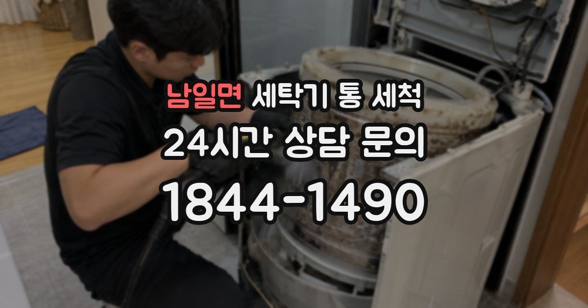 남일면 세탁기 통 세척
