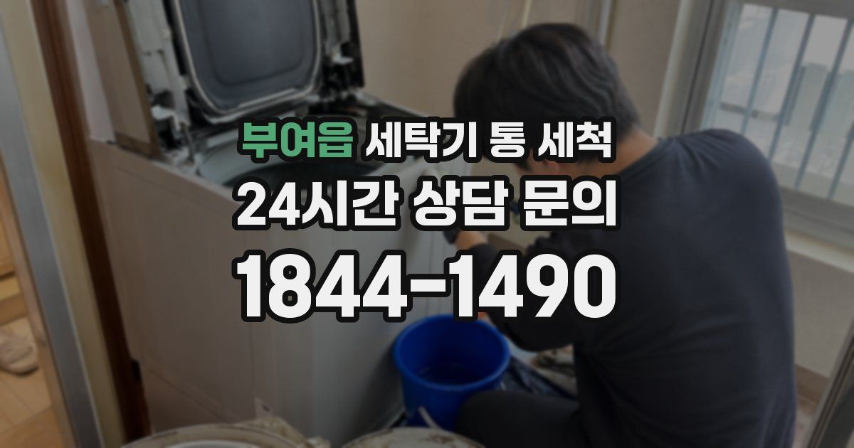 부여읍 세탁기 통 세척