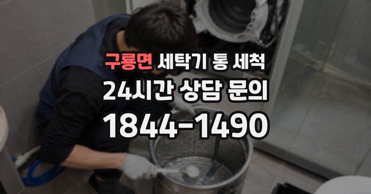 구룡면 세탁기 통 세척