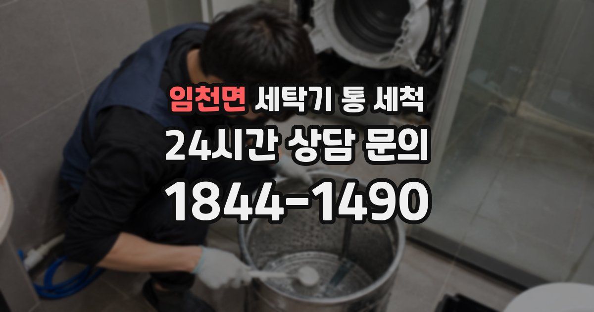 임천면 세탁기 통 세척