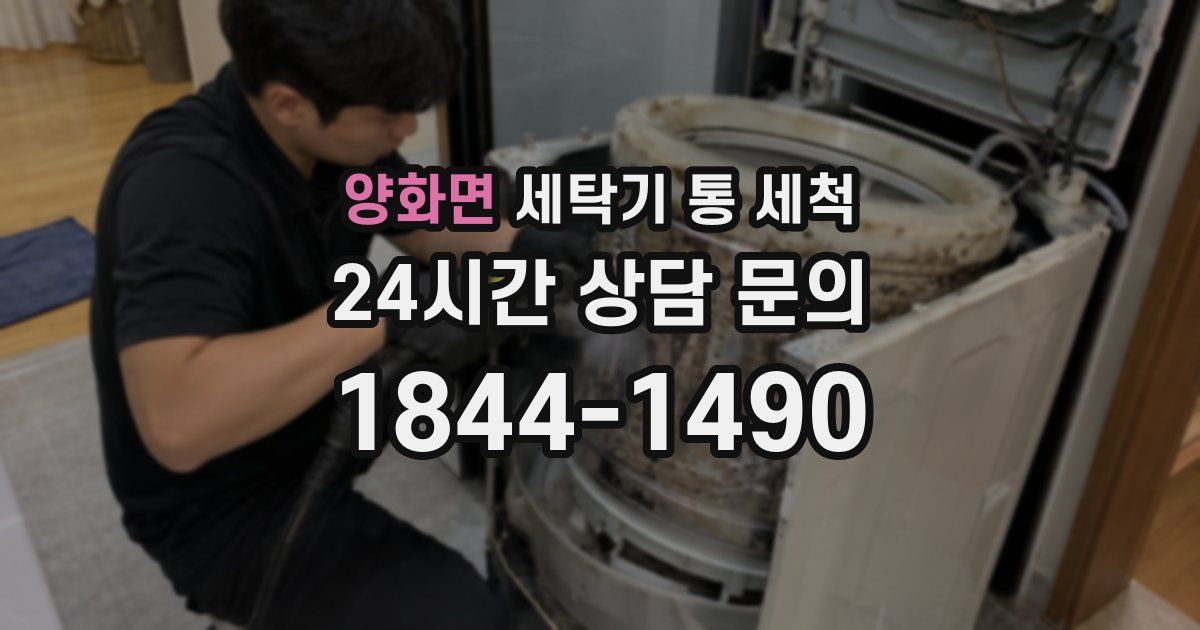 양화면 세탁기 통 세척