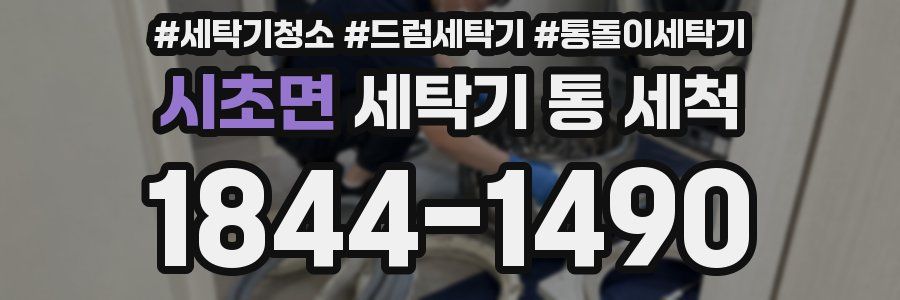 시초면 세탁기 통 세척