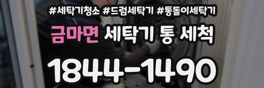 금마면 세탁기 통 세척