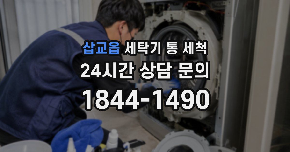 삽교읍 세탁기 통 세척